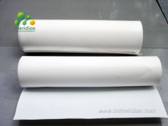 PTFE Films