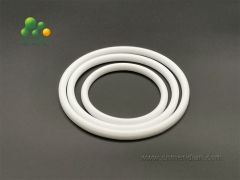 PTFE Seals