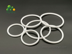 PTFE Seals